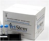 com) Slide 25 StemInsure Providing dogs with a lifetime of stem cells StemInsure Description: ü Collect fat at time of another procedure/surgery ü Only 5 to 15 grams of fat is needed (size of 1 to 3