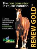 Joint supplement for horses in an easy to feed wafer.