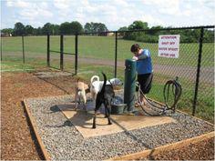 Existing Trees Add Alternate Item (#) Drinking Fountain Large Dog Repurposed Asphalt Path Dog Wash Station (Add Alt