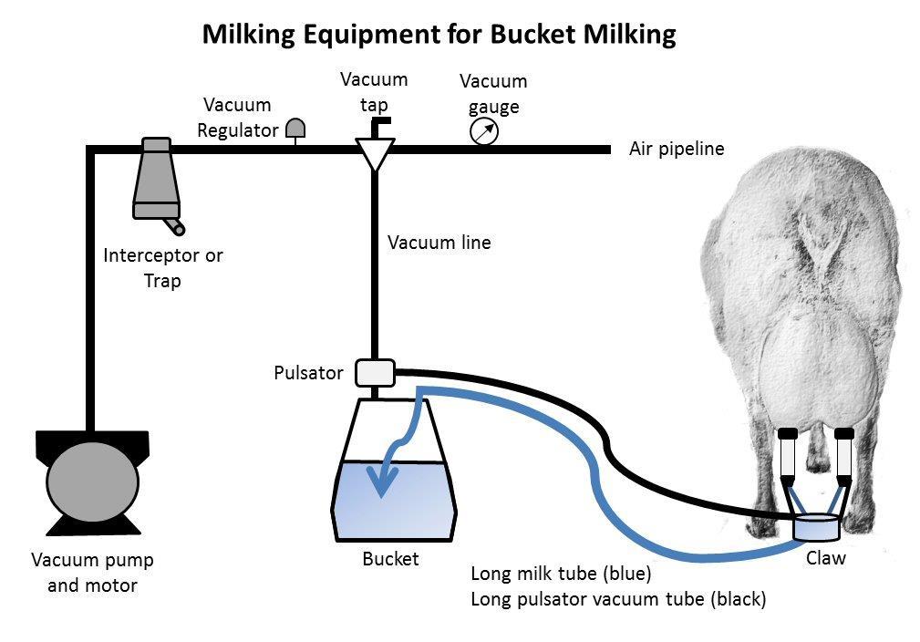 It is also used to milk animals whose milk needs to be kept out of the tank (e.g.