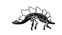 ORNITHISCHIA Stegosauria Ankylosauria Pachycephalosauria Ceratopsia