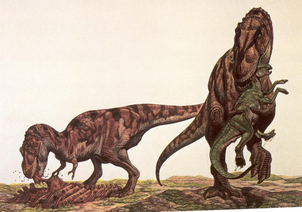 T. rex Predator or