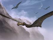 Archosauria: PTEROSAURIA Non-bird Dinosauria extinct by end of Mesozoic What event?
