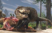 Giant croc with T. rex teeth roamed Madagascar www.scimex.org/newsfeed/giant-croc-with-t.