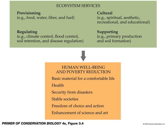 29 Valuing Biodiversity (Genetic, Species, Ecosystem, Processes/Services) Primack p. 47.