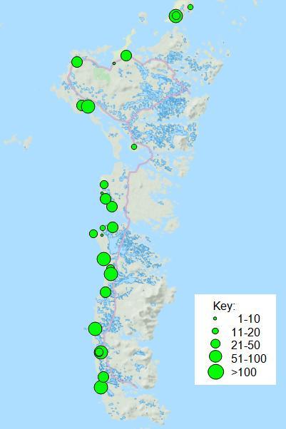 Annual productivity of Greylag Geese on the Outer Hebrides, September 2016 3 Results In the Uists, a total of 1,147 Greylag Geese from 27 flocks were aged from the southern coast of South Uist to