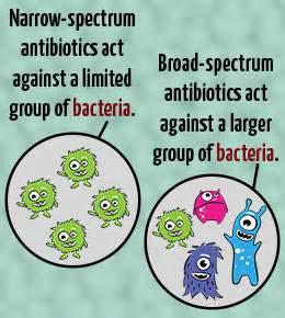 Antibiotic spectrum Antibiotic spectrum is dependent on the