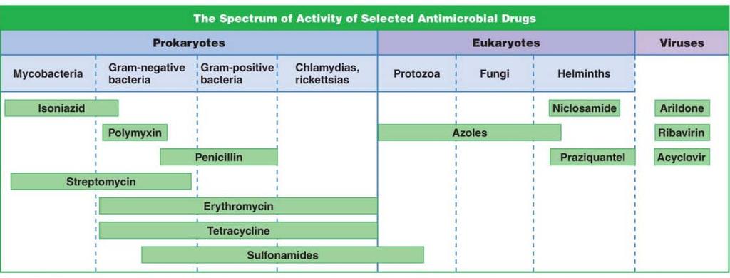 Broad spectrum antibiotics are effective against many types