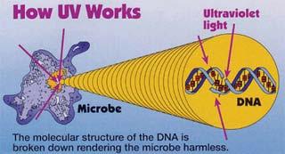 toxic or volatile substances Radiation Damage to DNA / proteins / macromolecules Ultraviolet radiation: