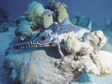 A baby ichthyosaur