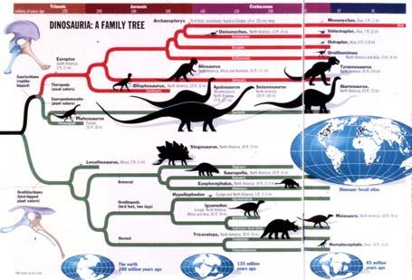 Dinosaur classification Saurischians