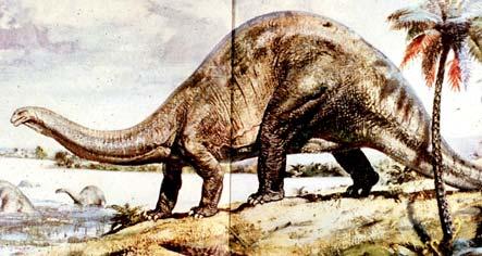 Apatosaurus out for a