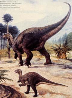 Iguanodon,