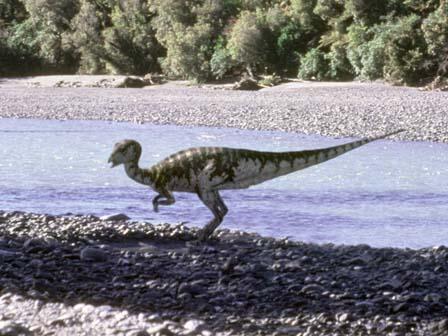 Cretaceous 