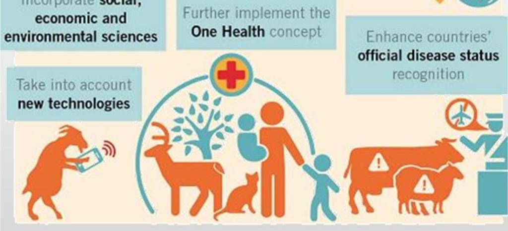 vaccines Support to the eradication of selected animal diseases (FMD, PPR, Rabies) Involvement in scientific platforms effective &