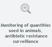 efficacy of antimicrobials