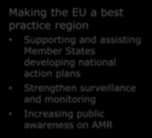 EU action against AMR: next steps Making