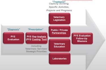 OIE supports national strategies to address AMR issues OIE PVS (Performance of Veterinary Services) Pathway - determines capability of National Veterinary Services to meet intergovernmental quality