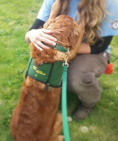 How To Use HOPE Comfort Dogs Interactions among people waiting in line for services Visitations with sheltered persons, particularly children Respites for agency volunteers