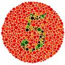 22 Test for color blindness 23 Genes encoding red and green opsins are on X chromosome red and