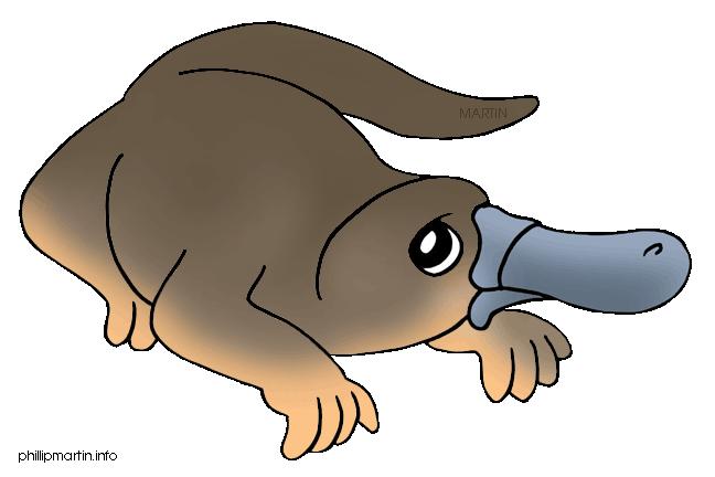 The platypus lives in streams, ponds, and rivers in
