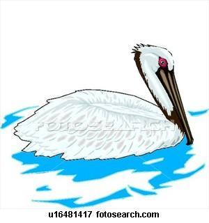 The brown pelican has a large pouch of skin on the bottom part of its bill.