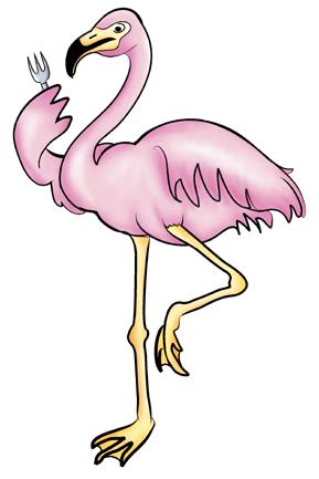 The feathers of a flamingo are pink