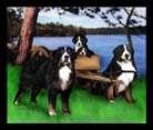 BMDCGTC Education Series Understanding The Importance Of A Puppy Contract You have done your homework on the Bernese Mountain Dog breed.