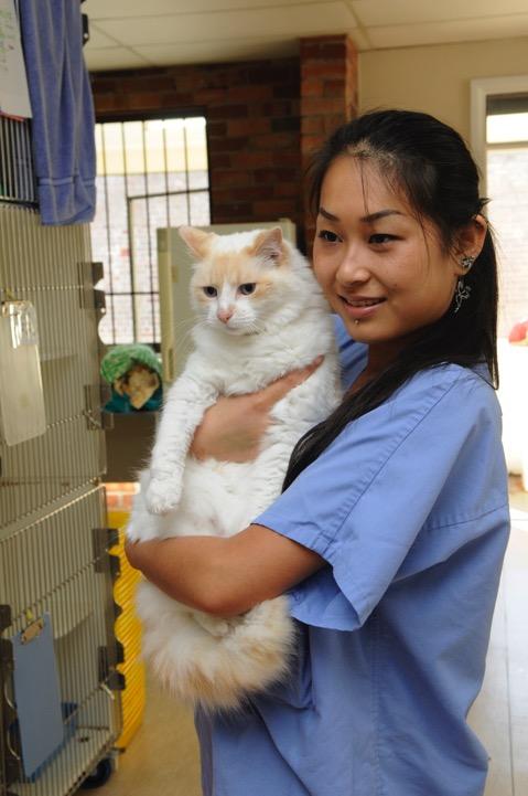 What is a Cat Friendly Clinic? The International Society for Feline Medicine (ISFM) is the veterinary division of International Cat Care (www.icatcare.
