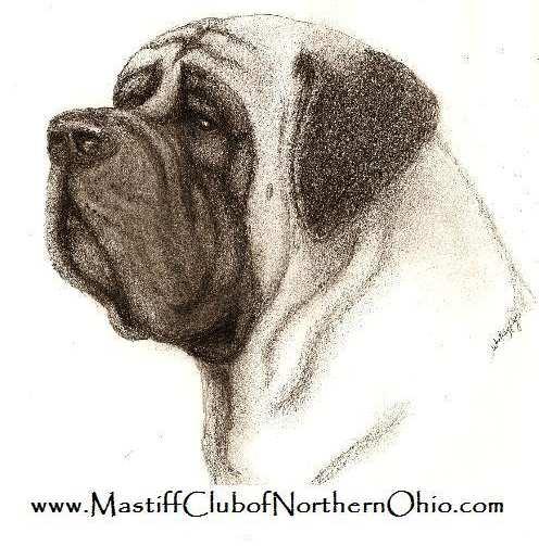 Membership Application Mastiff Club of Northern Ohio MEMBERSHIP APPLICATION NAME(S):