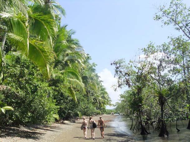 We spent many afternoons combing the beautiful tropical beaches for rubbish (and there was