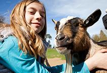Join a keeper as they take a tour round the farm. You will get to stroke rabbits and guinea pigs and even get to feed some of the animals.