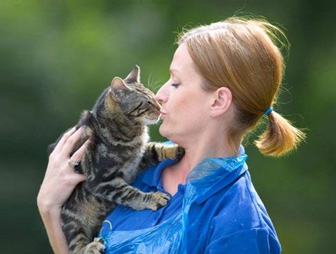 Cats Protection now helps around 500 cats and kittens every day through our network of over 250 volunteer-run branches, 29 adoption centres and three homing centres.