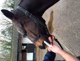 Worming when there is no need for treatment Worming too frequently Worming with the same class of wormer repeatedly Under-dosing (wrong weight, wrong dose, spit out) The Bimeda Equine Guide to Dosing