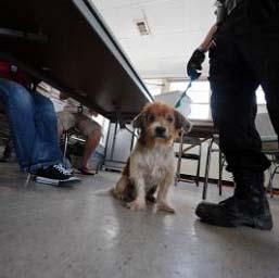 April 01, 1997/ Dave Saville/FEMA A dog displaced by Hurricane Ike waits to be checked in at a Galveston