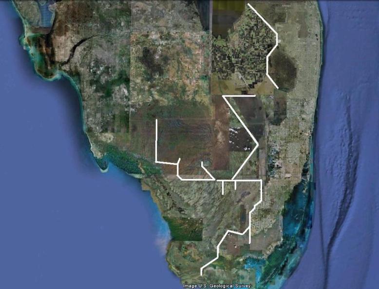 EIRAMP University of Florida has initiated the Everglades Invasive Reptile and Amphibian Monitoring Program Regular routes will be surveyed throughout South Florida to both detect new infestations