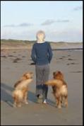 An innovative trainer, Suzanne s work includes CARAT The Enriched Puppy Protocol RAT (Relationship Assessment Tool) FAT (Functional Assessment Tracking) Really Real Relaxation Treat/Retreat CCC -