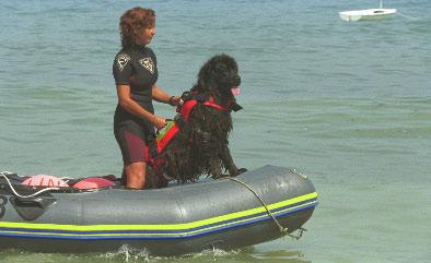 Roxanne Dunn and her dog, Ash, made up one of the SAR teams. Ash, a Newfoundland dog, had been trained in air-scenting.