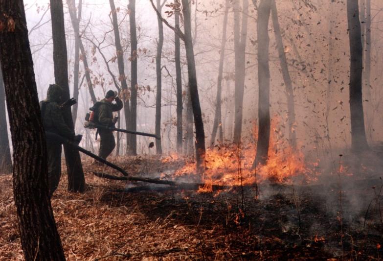 It is an area that always burns more intensely than the priority area in Slavyanka and first analysis indicates that the team has been unsuccessful at reducing the level of burning in Bezverkhovo