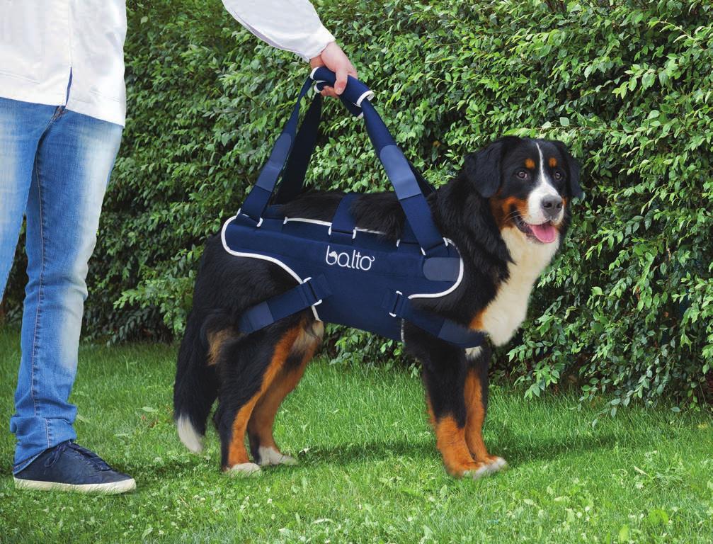 10 BT BODY LIFT 1) ONE-PIECE BACK BRACE WITH HANDLE, FOR DOGS WITH AGE- OR DISEASE-RELATED MOTOR DIFFICULTIES 2) SUPPORTS THE SPINAL COLUMN The BT BODY LIFT serves 2 specific functions: 1) It is