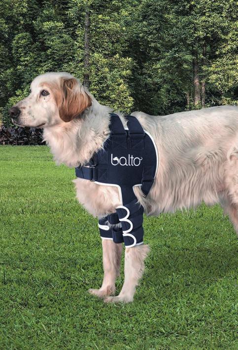 8 BT LUX SHOULDER BRACE The BT Lux brace is designed to limit overall abduction of the shoulders of your 4-legged friend.