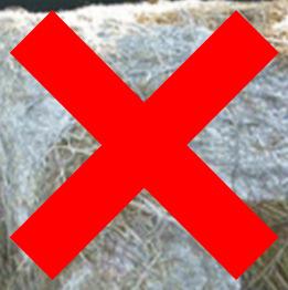 bacteria Establish worse affected bales and avoid