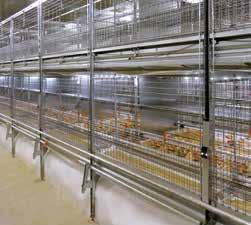 Our extensive product range also includes the respective ventilation, heating, cooling and exhaust air treatment systems for optimal climatic conditions in every poultry house.