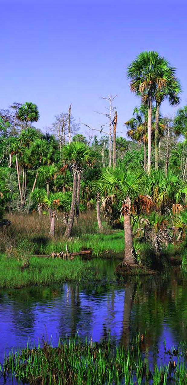 Located along the southern edge of the Big Bend Region of Florida s west coast, Lower Suwannee National Wildlife Refuge encompasses