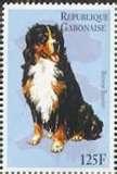 Sheila was a breeder and exhibitor of Bernese. She will be greatly missed.