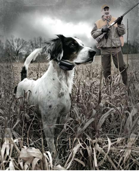 The rugged, versatile SportHunter Series excels in all environments and is especially suited to upland and multi-dog hunting situations.