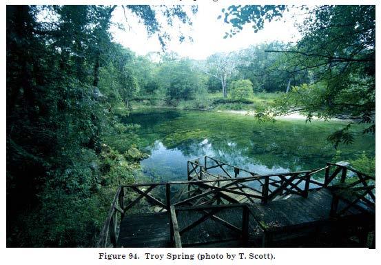 2.2.6 Troy Spring Middle Suwannee River Springs Restoration Plan Troy Spring (Figure 17) is located within Troy Spring State Park, 5.5-miles (8.8 km) northwest of Branford.
