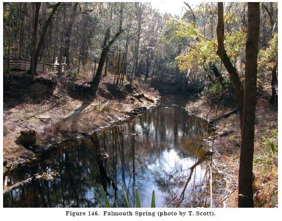 2.3.3 Falmouth Spring Middle Suwannee River Springs Restoration Plan Falmouth Spring (Figure 22) is 10-miles (16 km) northwest of Live Oak. Falmouth Spring is a karst window.