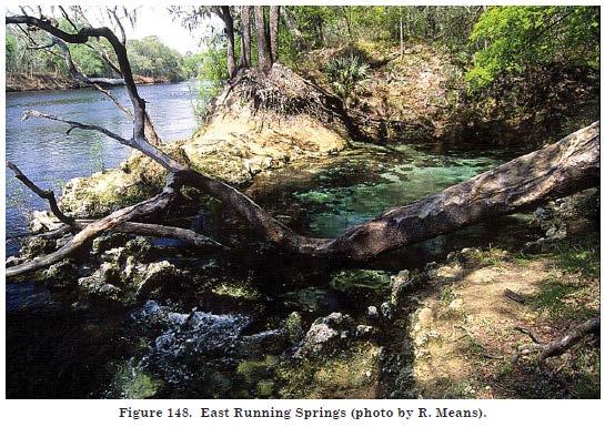 2.3.5 Running Springs Middle Suwannee River Springs Restoration Plan Running Springs (Figure 24) is located on private land, 4.3-miles (6.9 km) northeast of Mayo.