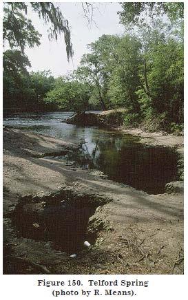 2.3.6 Telford Spring Middle Suwannee River Springs Restoration Plan Telford Spring (Figure 25) is located on the north bank of the Suwannee River, 4-miles (6.4 km) north of Mayo.